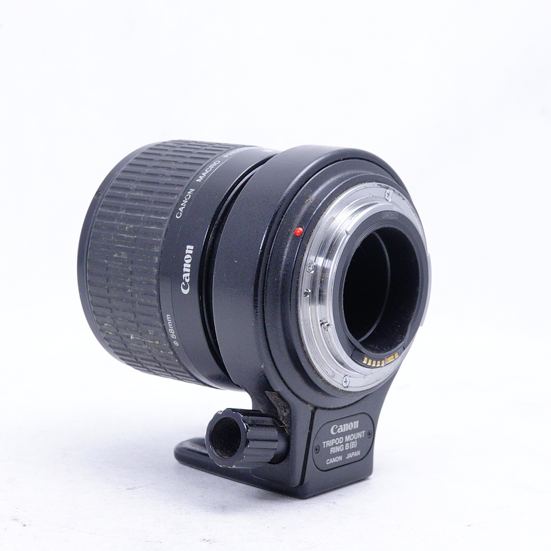 Canon MP-E 65mm f/2.8 1-5x Macro - Usado 5