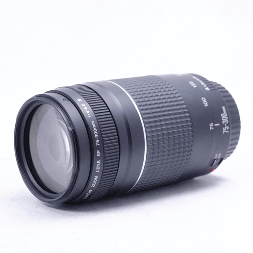 Canon EOS REBEL T100 Premium Kit - Usado 9