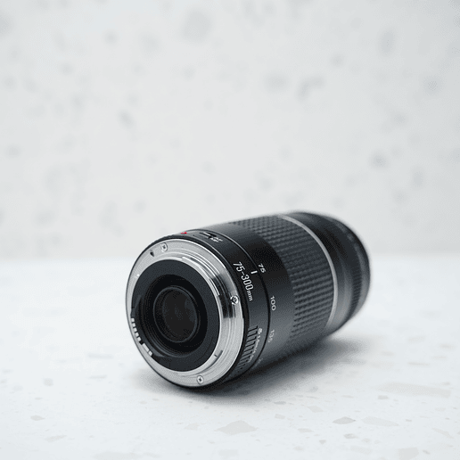 Canon EF 75-300mm f4-5.6 versión III - Usado 5