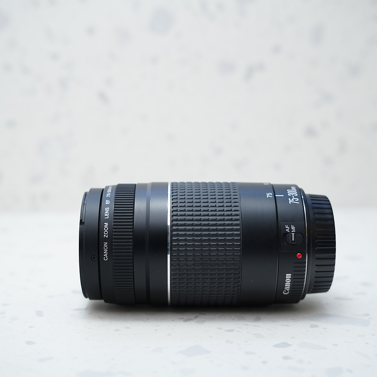 Canon EF 75-300mm f4-5.6 versión III - Usado 3