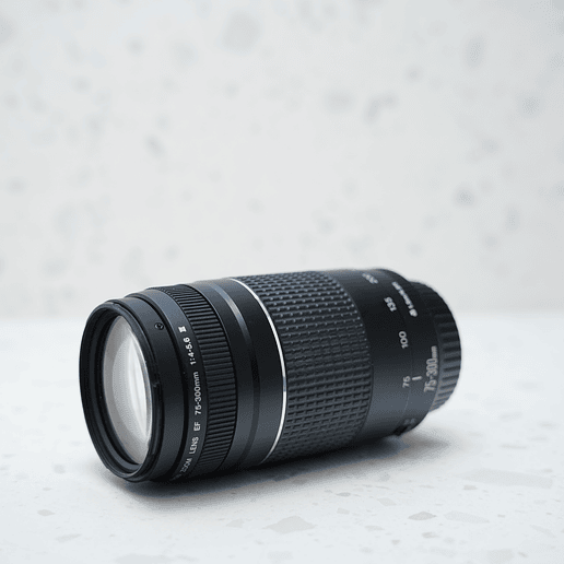 Canon EF 75-300mm f4-5.6 versión III - Usado 4