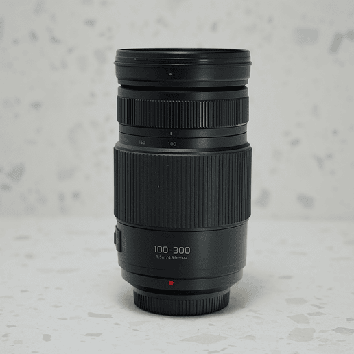 Lumix G Vario 100-300mm f/4-5.6 - Usado 5