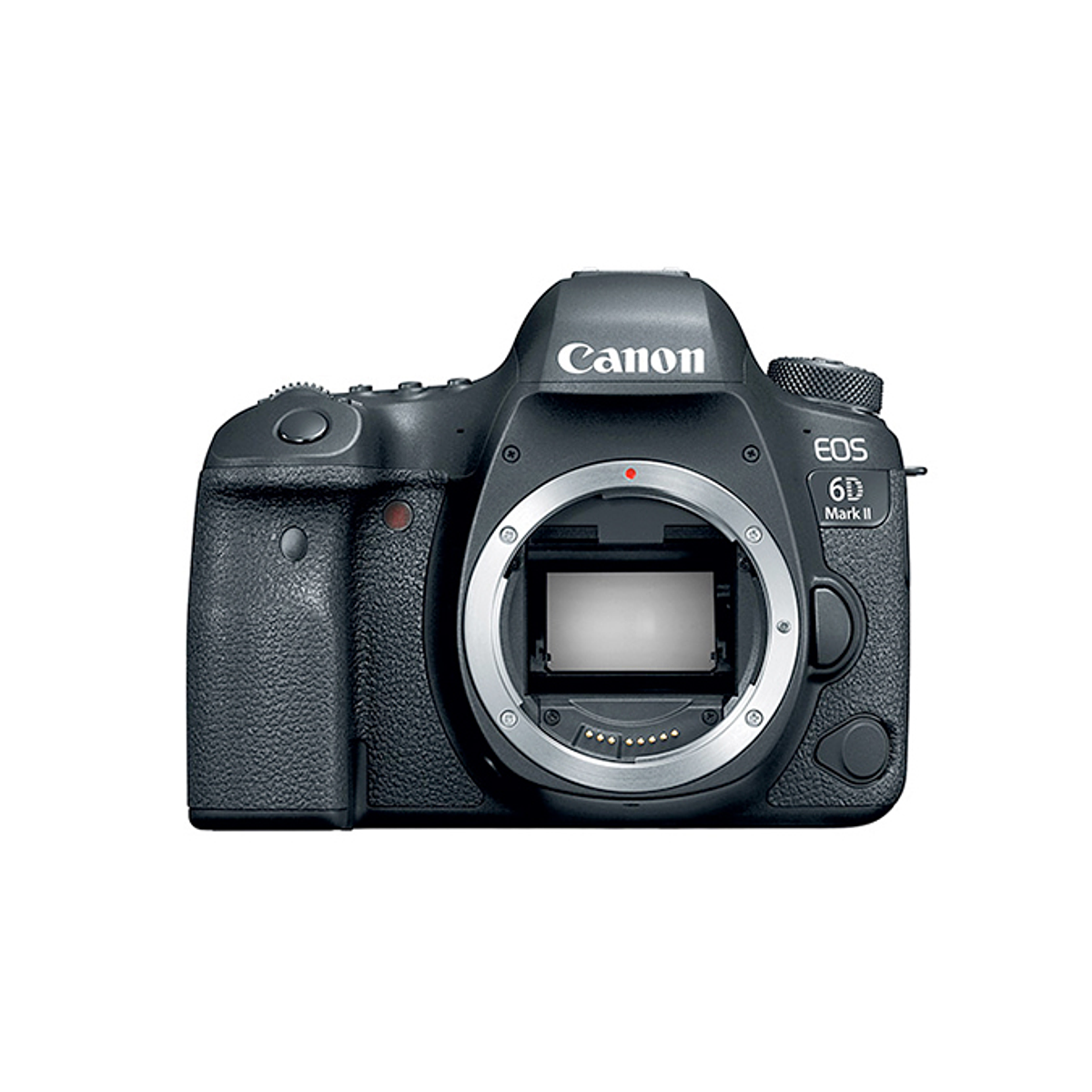 Canon EOS 6D Mark II、EF 50mm f1.8 stm 1200?1719009364