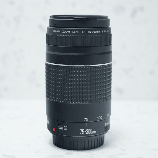Canon EF 75-300 f4.-5.6 III (usado) 2