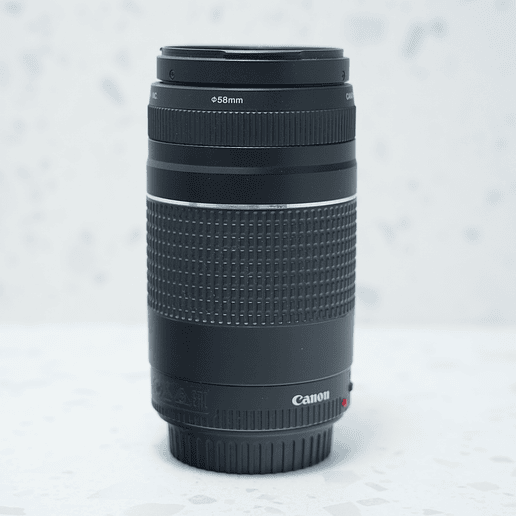 Canon EF 75-300 f4.-5.6 III (usado) 4