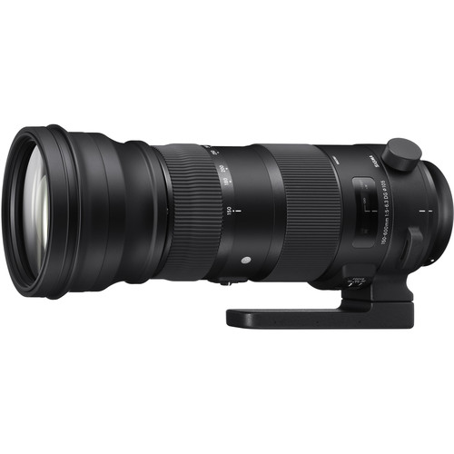Sigma 150-600mm F5-6.3 DG OS HSM ニコンF SIGMA 150-600mm f/5-6.3 DG para Nikon F