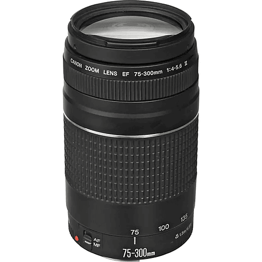 Canon EF 75-300mm f/4-5.6 III - USADO 1