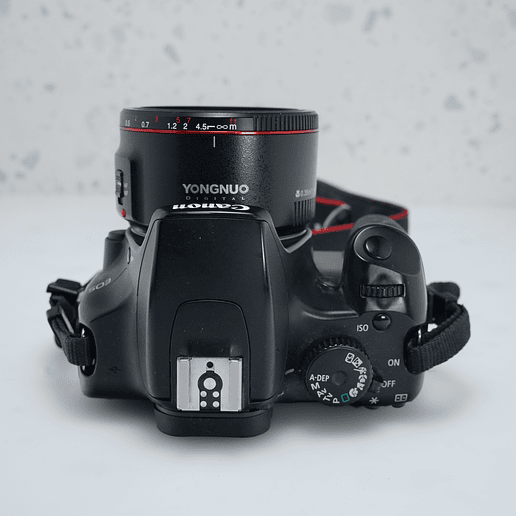 Canon EOS Rebel XS + yongnuo 50 mm 1.8  6