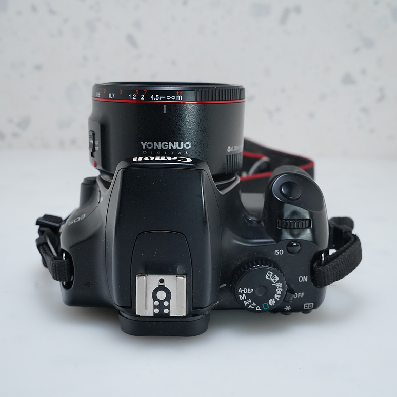 Canon EOS Rebel XS + yongnuo 50 mm 1.8  6