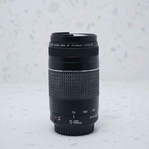 Canon EF 75-300mm f4-5.6 - USADO 2