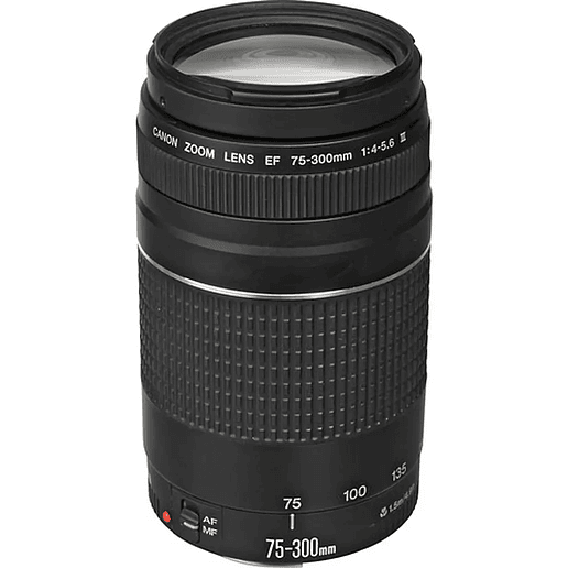 Canon EF 75-300mm f4-5.6 - USADO 1