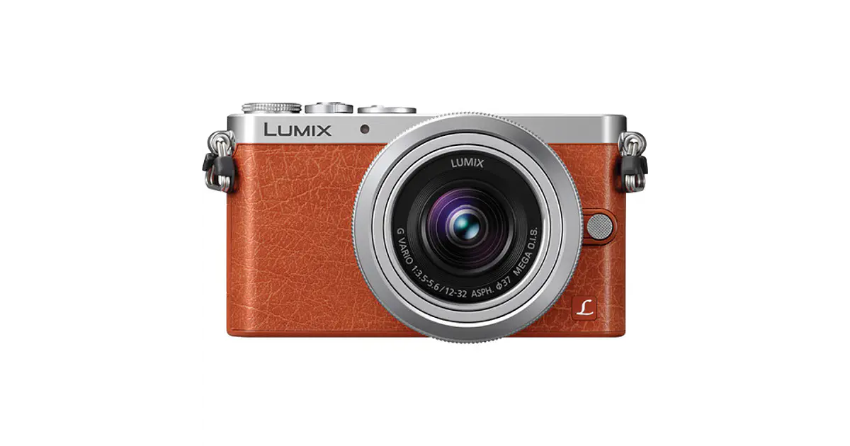 Panasonic Lumix DMC-GM1 - USADO
