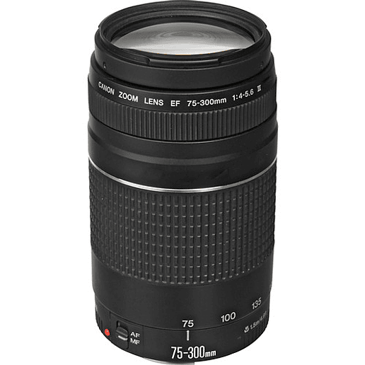 Canon EF 75-300mm f4-5.6 III - USADO 1