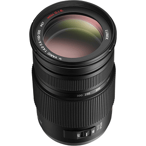 Panasonic Lumix G Vario 100-300mm F/4.0-5.6 OIS - USADO