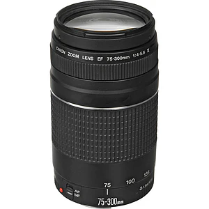 Canon EF 75 300mm f4-5.6 III - USADO