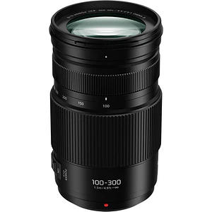 Panasonic LUMIX G Vario 100-300mm f/4-5.6 II POWER O.I.S. - USADO