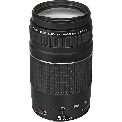 Canon EF 75 300mm f4-5.6 III - USADO 1