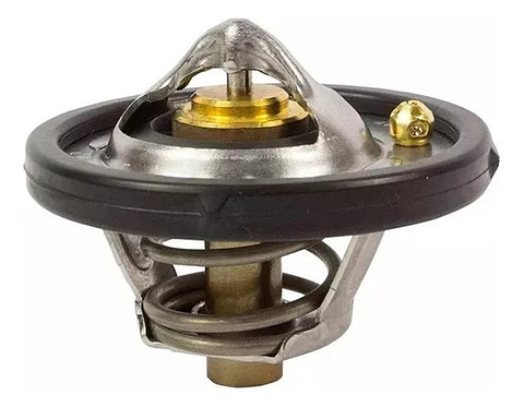 Termostato Ford Ecosport 1.6 Original Motorcraft (2013-2017)