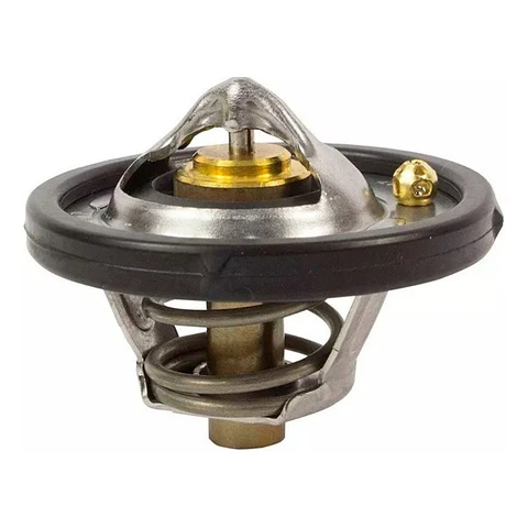 Termostato Ford Ecosport 1.6 Original Motorcraft (2013-2017)