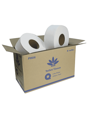 Caja de papel higiénico SiClean 250 metros doble hoja