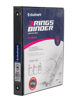 Portafolios Studmark 1