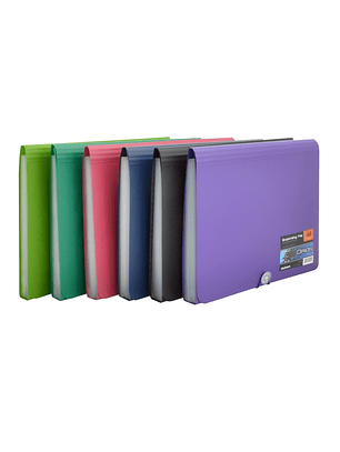 Acordeones Studmark, Oficio, 13 Divisiones, Colores surtidos