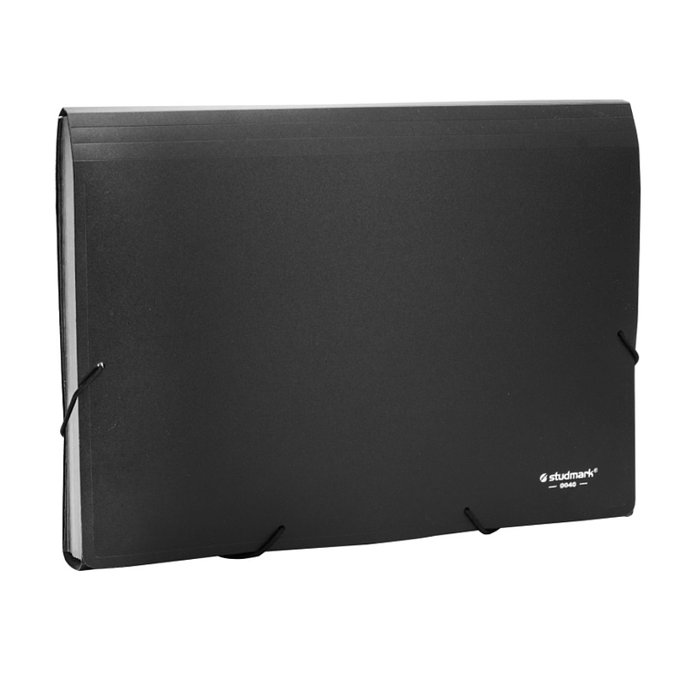 Acordeón plástico Studmark, Legal 2