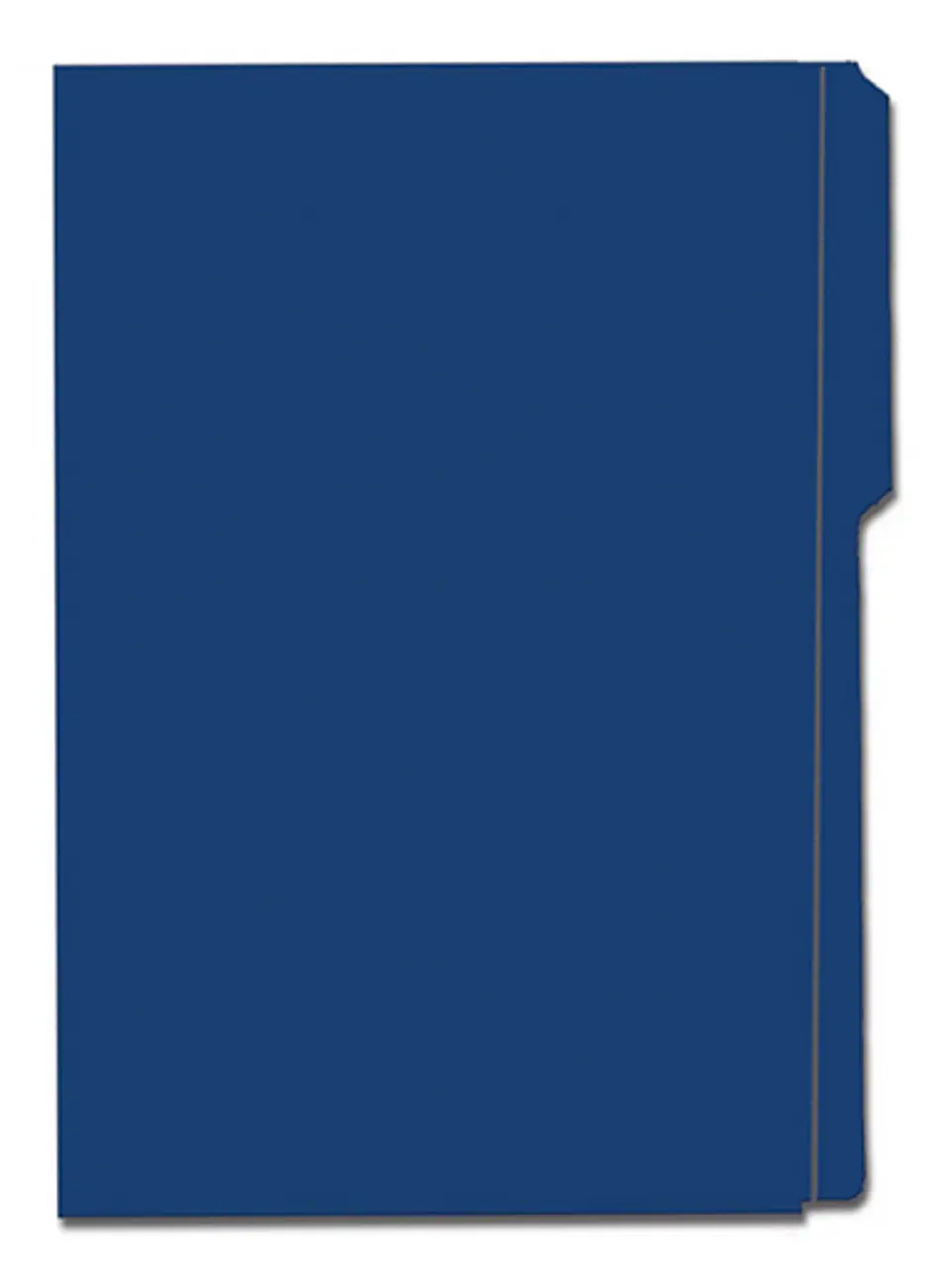 Folder de Archivo de Colores 8.5 x 14