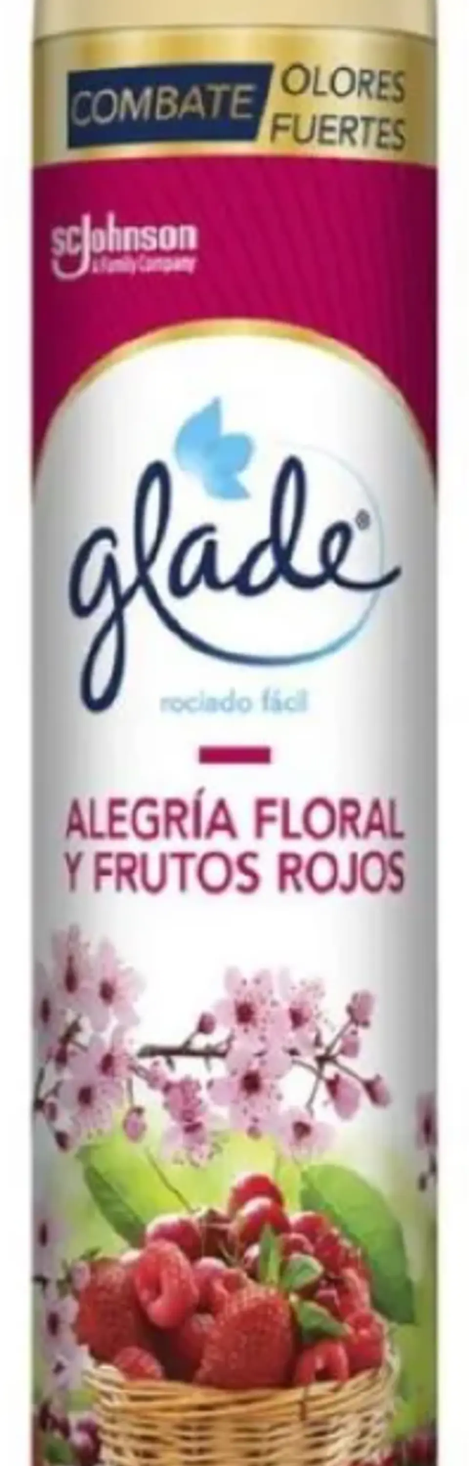 Aromatizante de ambiente en aerosol 2