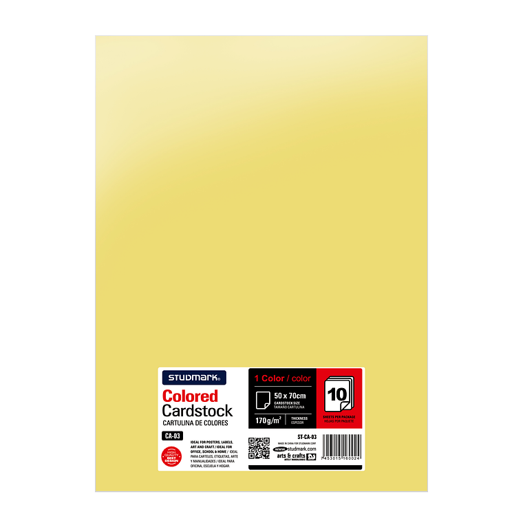 Paquete de 10 cartulinas 50 x 70 cm 7