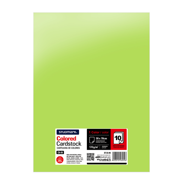 Paquete de 10 cartulinas 50 x 70 cm 19