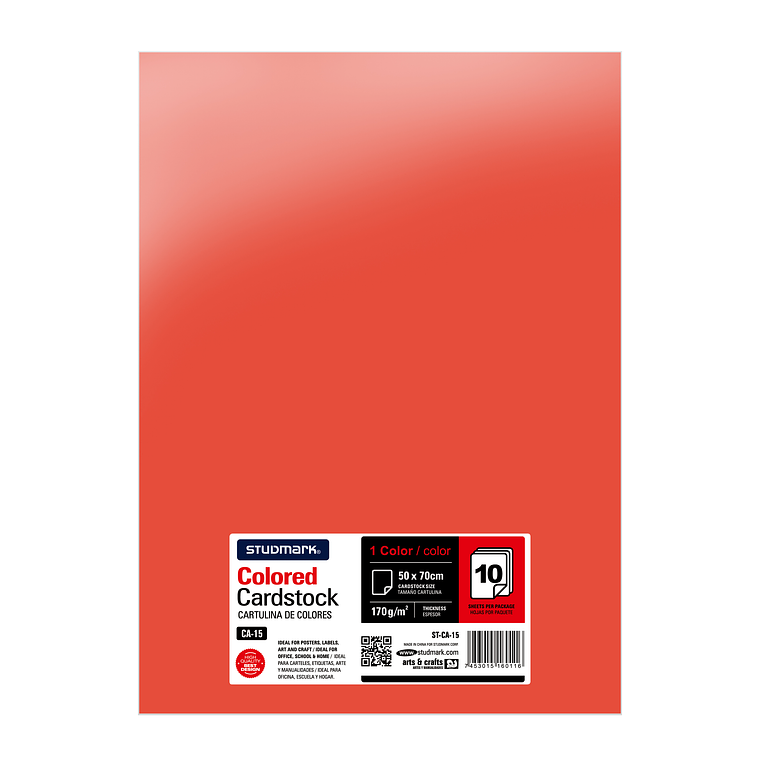Paquete de 10 cartulinas 50 x 70 cm 14