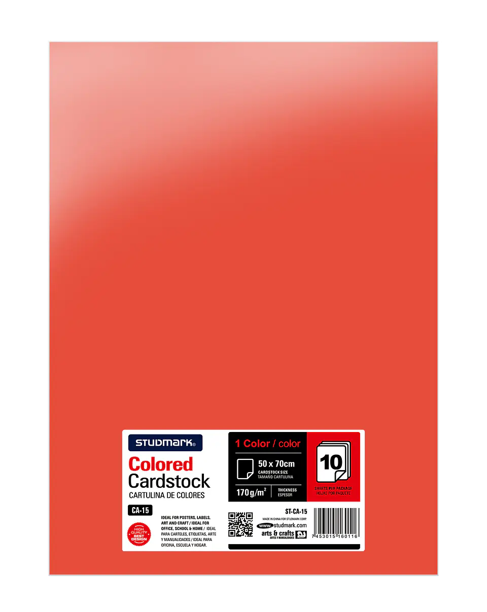 Paquete de 10 cartulinas 50 x 70 cm 14