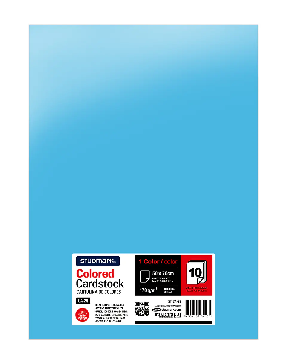 Paquete de 10 cartulinas 50 x 70 cm 2