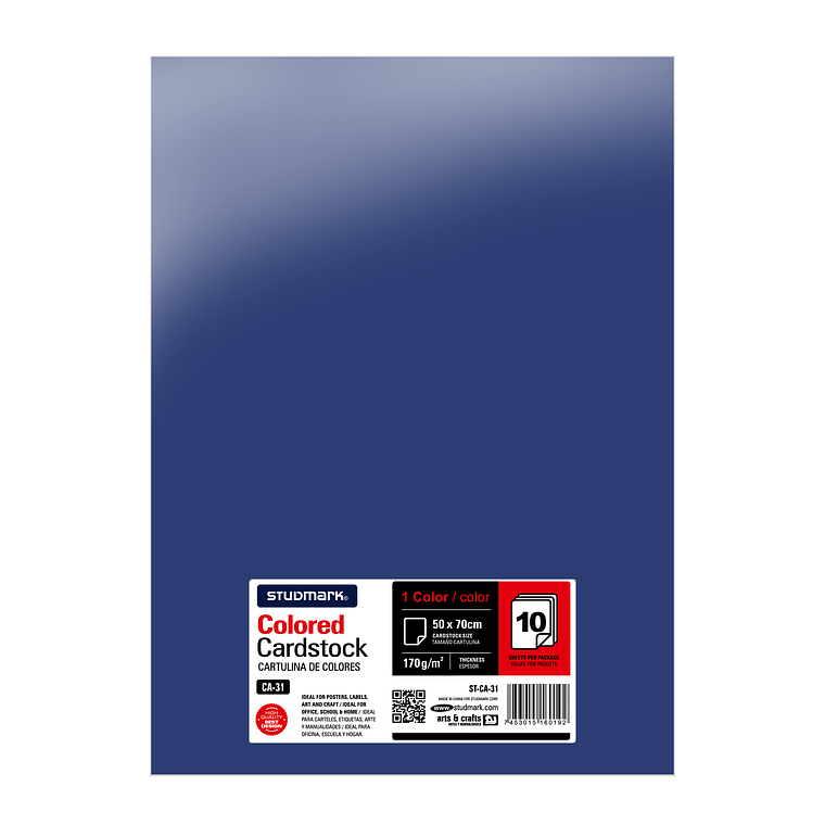 Paquete de 10 cartulinas 50 x 70 cm 3