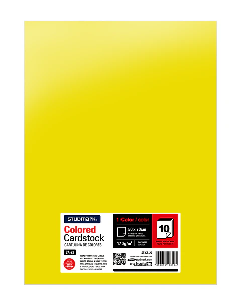 Paquete de 10 cartulinas 50 x 70 cm