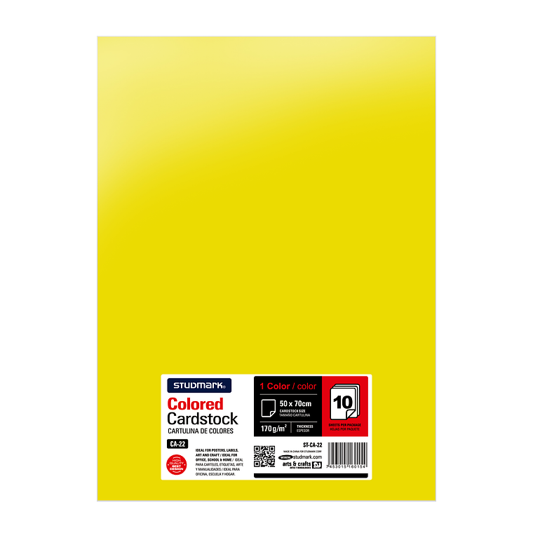 Paquete de 10 cartulinas 50 x 70 cm 1