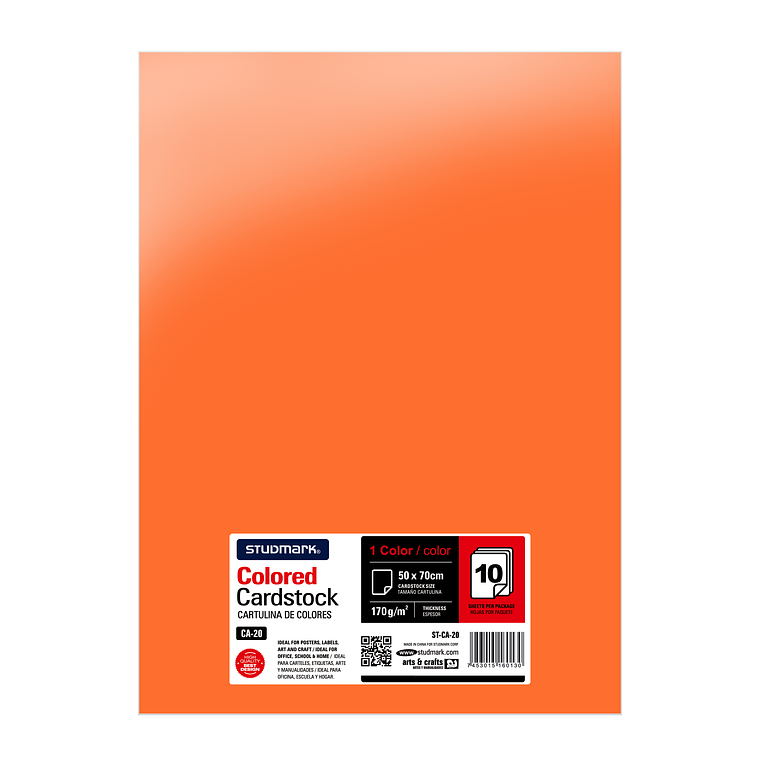 Paquete de 10 cartulinas 50 x 70 cm 10