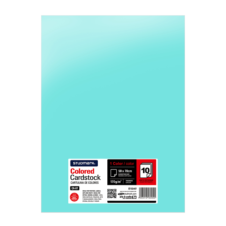 Paquete de 10 cartulinas 50 x 70 cm 6