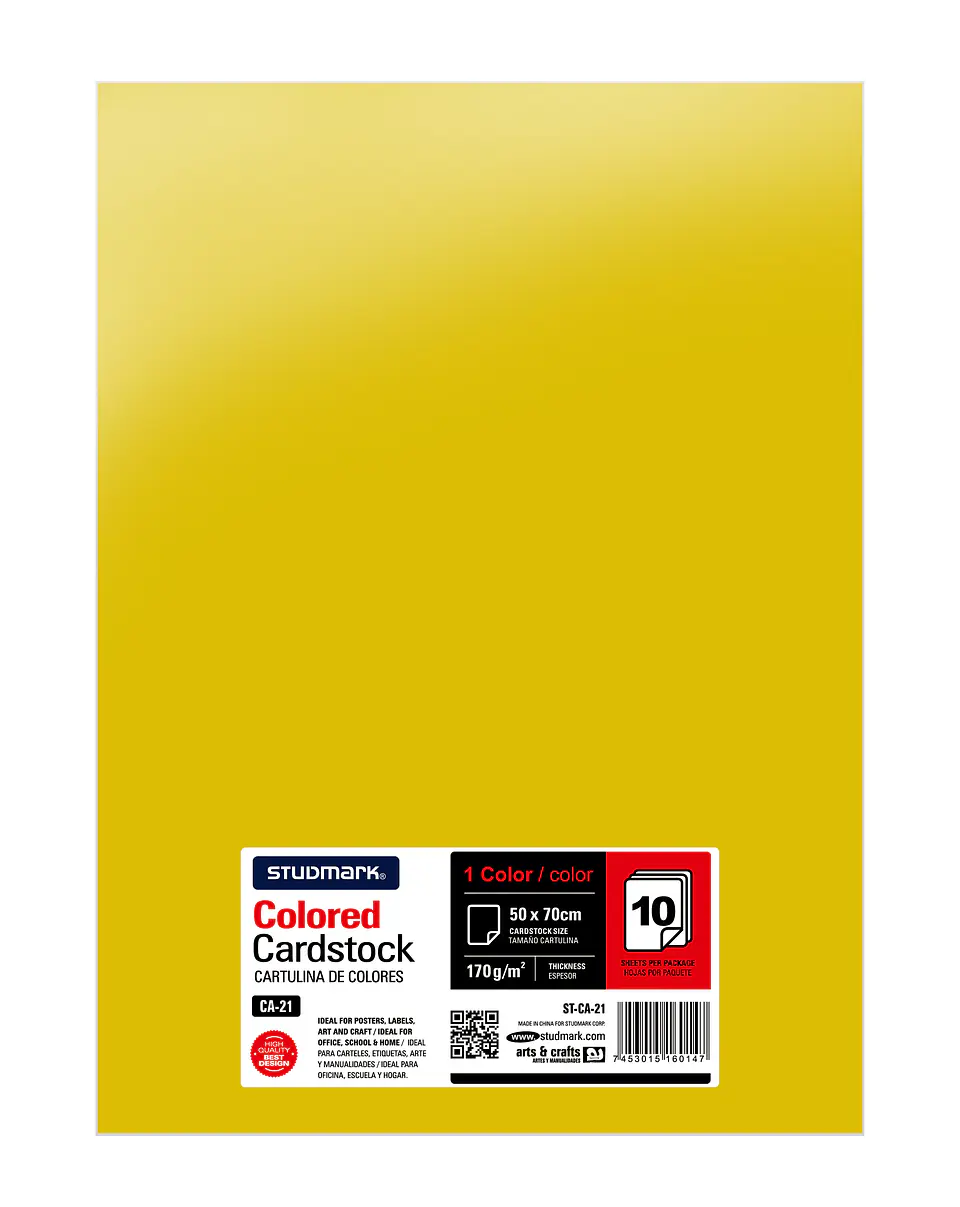 Paquete de 10 cartulinas 50 x 70 cm 9