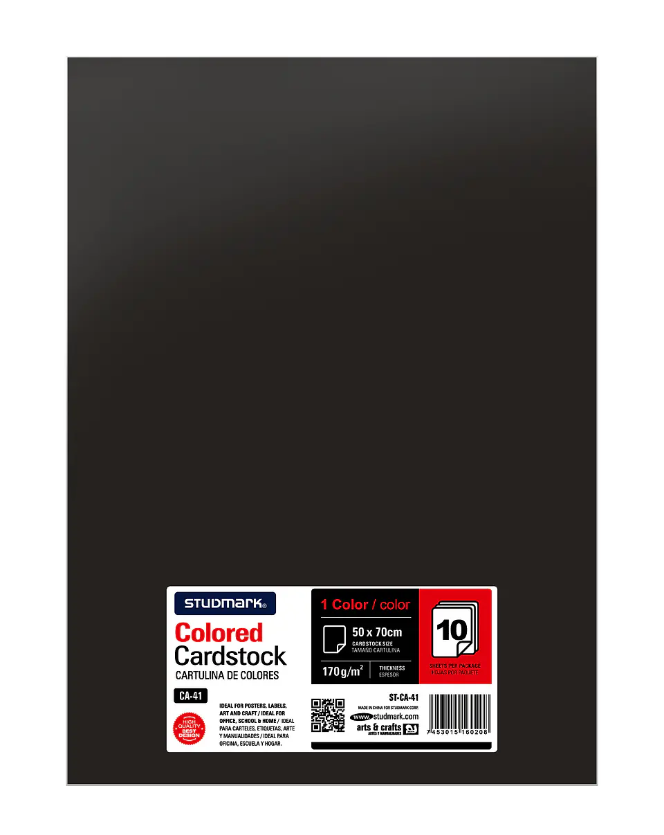 Paquete de 10 cartulinas 50 x 70 cm 11