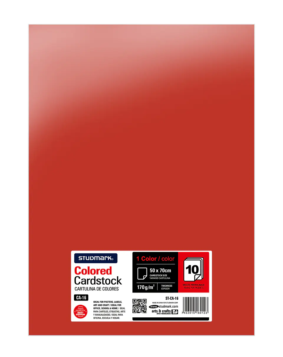 Paquete de 10 cartulinas 50 x 70 cm 17