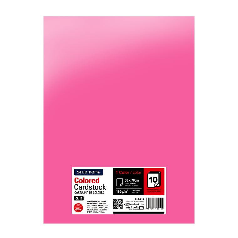 Paquete de 10 cartulinas 50 x 70 cm 15