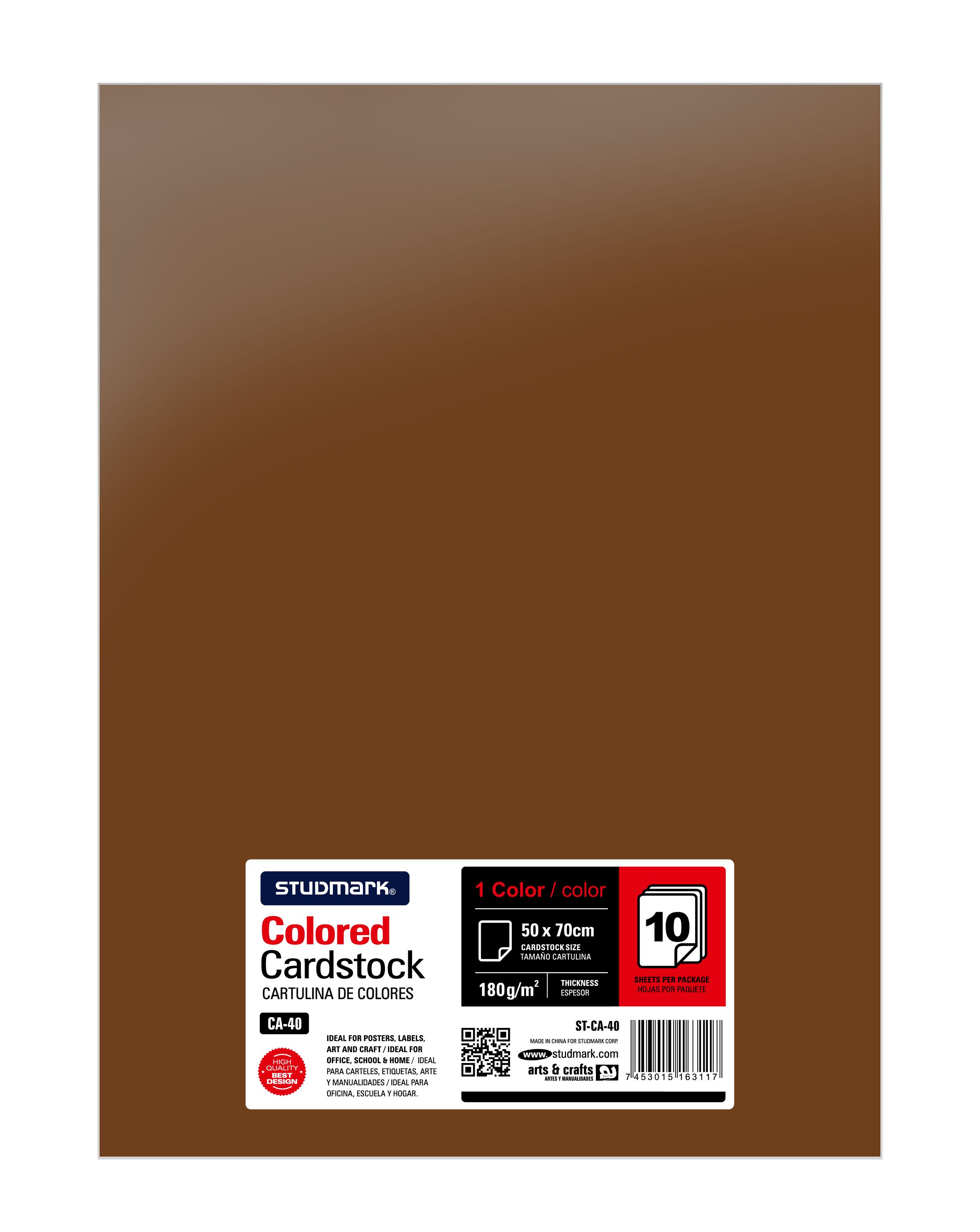 Paquete de 10 cartulinas 50 x 70 cm 5