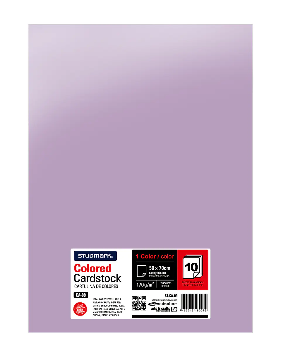 Paquete de 10 cartulinas 50 x 70 cm 8