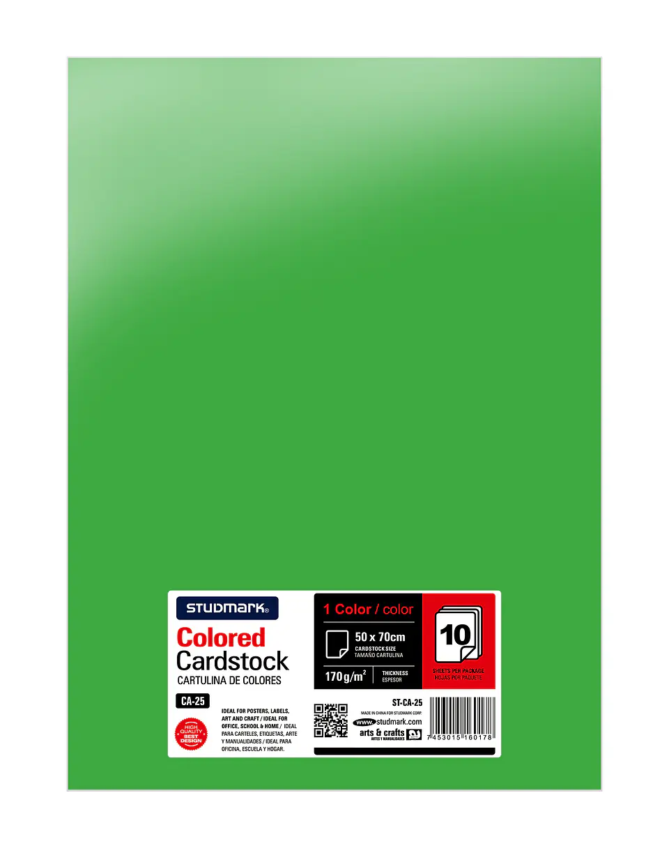 Paquete de 10 cartulinas 50 x 70 cm 20