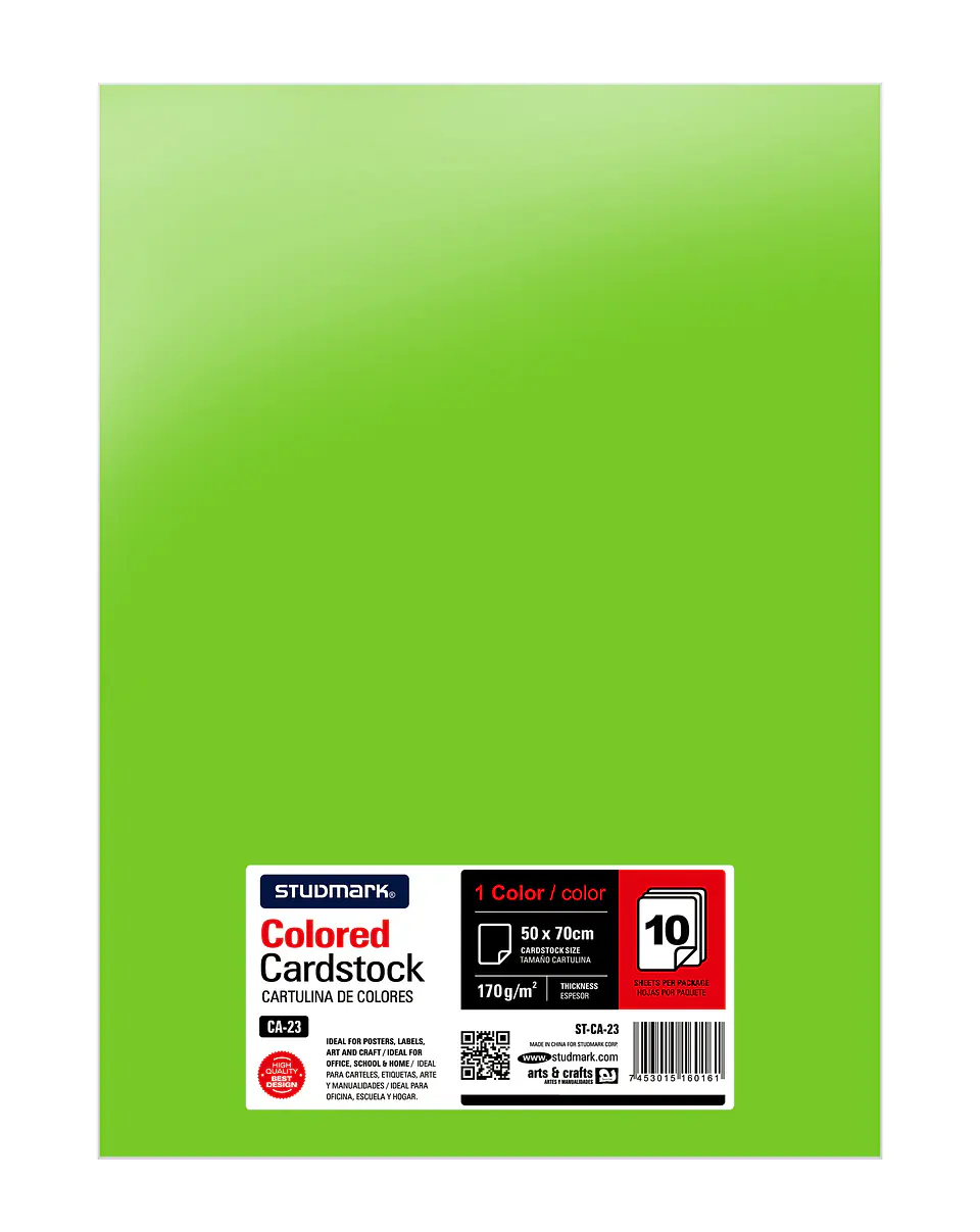 Paquete de 10 cartulinas 50 x 70 cm 18