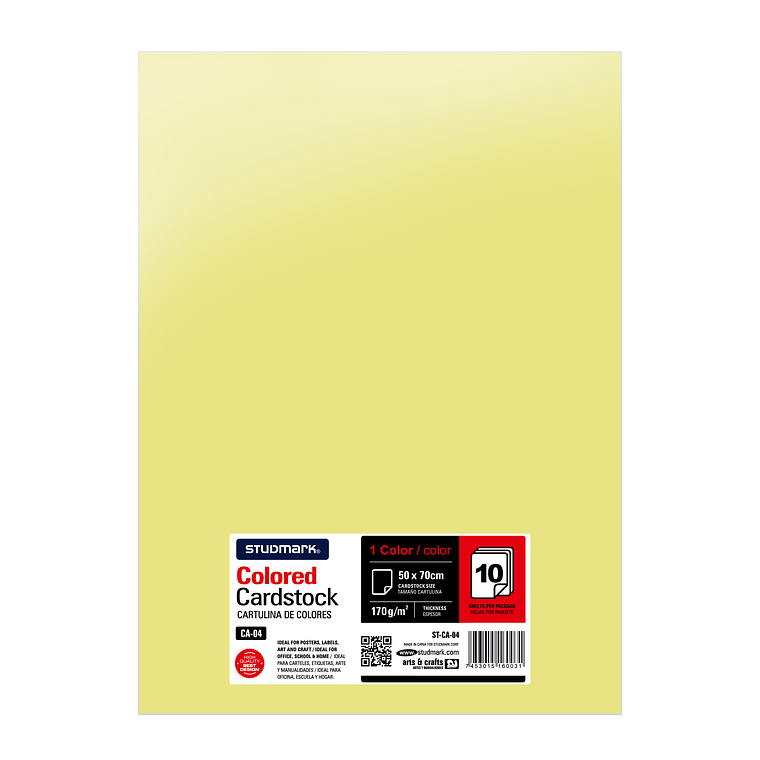 Paquete de 10 cartulinas 50 x 70 cm 12