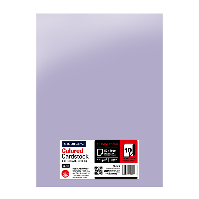 Paquete de 10 cartulinas 50 x 70 cm 13