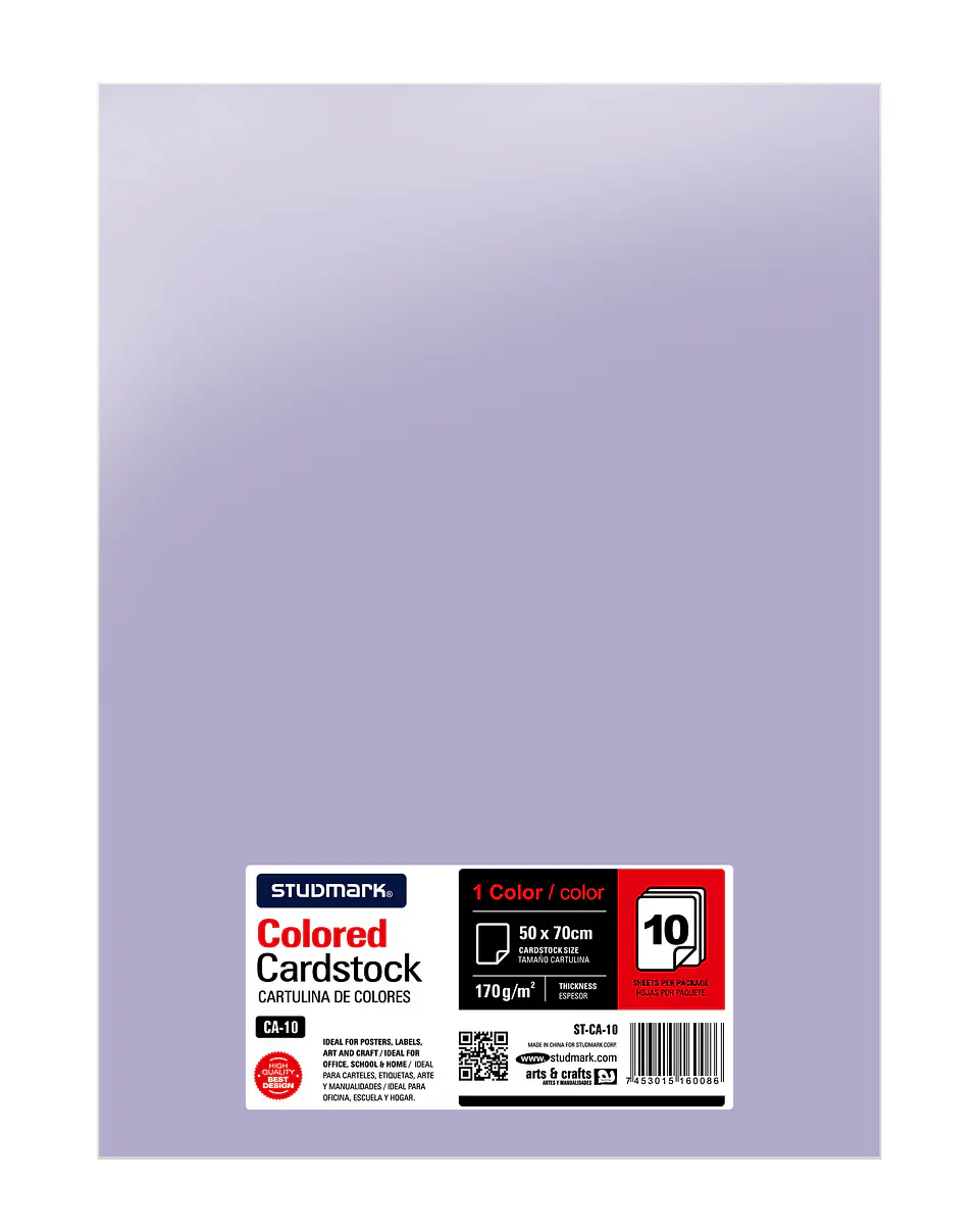 Paquete de 10 cartulinas 50 x 70 cm 13